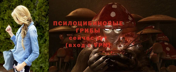 первитин Белоозёрский