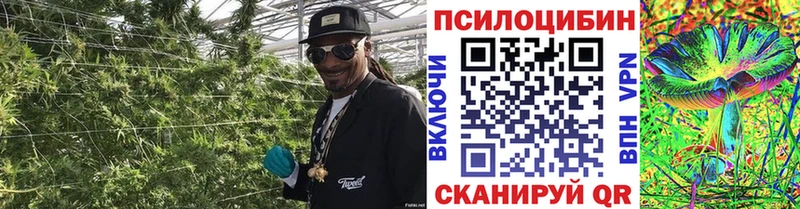 Галлюциногенные грибы ЛСД  сколько стоит  кракен зеркало  Ершов 